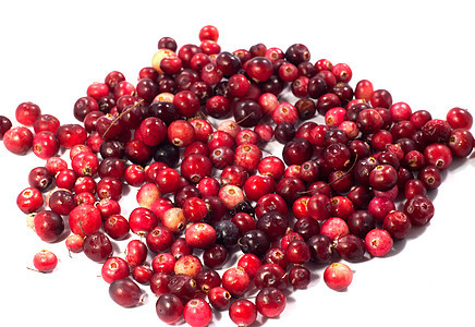 红莓 浆果图片