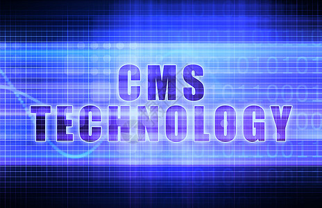 CMS 技术系统软件图片