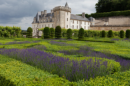 法国卢瓦尔谷花园和城堡场地药品花园恶棍紫色衬套建筑学香水薰衣草植物图片