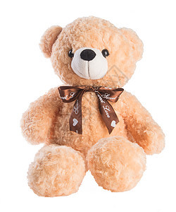 玩具 背景上的玩具熊 背景上的玩具熊棕色礼物毛皮盒子乐趣婴儿白色童年娃娃图片