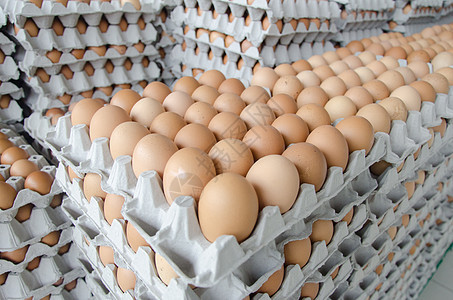 灰纸包裹中的鸡蛋母鸡家禽食品皮蛋食物团体农场蛋壳液体鸭蛋图片