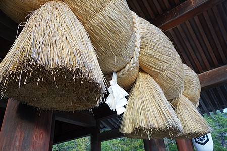 伊祖玛的伊祖莫神迹金色稻草城市地区神道访问绳索神社图片
