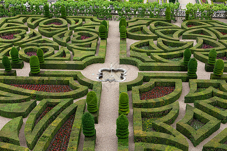法国城堡的装饰花园 非常美观衬套草本植物公园生长恶棍灌木胡同盒子树篱图片