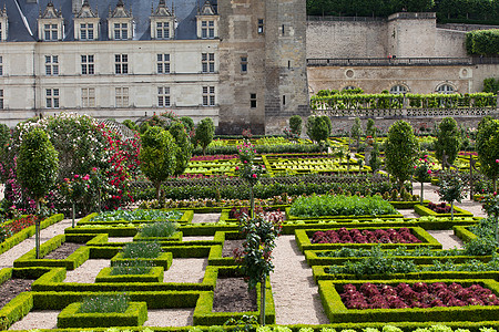 城堡花园法国卢瓦尔谷花园和城堡葡萄园蔬菜白菜头场景沙拉地标建筑学花园玫瑰凉棚背景