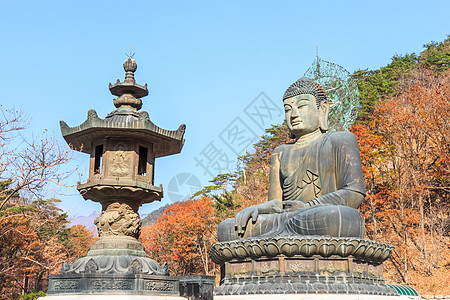 清兴寺的佛像图片