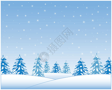 冬木天空蓝色白色太阳季节森林气候天气墙纸针叶图片