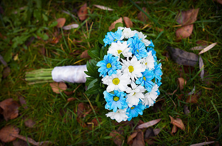 白花和蓝花 婚礼花束图片
