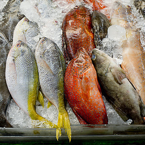 市场封闭背景下各种新鲜鲜鱼海产食品餐厅美味柜台午餐维生素销售钓鱼厨房食物美食图片