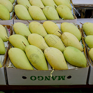 市场上的泰国芒果 价值丰厚的芒果热带店铺节食食物小吃美食文化物品营养水果图片