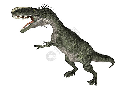 恐龙月光磷龍单冠爬虫蜥蜴侏罗纪博物馆动物白色危险恐龙怪物图片