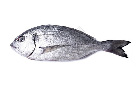 餐桌上的鱼厨房海鲜美食鳟鱼鲱鱼鱼片饮食白色营养钓鱼图片