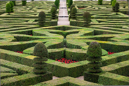 法国城堡的装饰花园 非常美观恶棍衬套胡同盒子树篱生长公园灌木草本植物图片