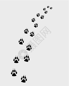 狗的脚印脚步小路痕迹宠物白色跑步卡通片艺术插图夹子图片