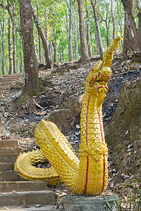 金色巨蛇 中田 南东西如亚龙 在寺庙的神龙图片