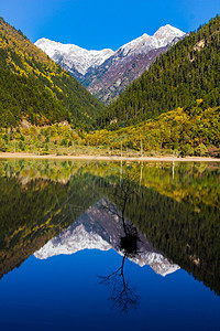 Jiuzhaigou观光场镜像湖蓝色水池旅行旅游反射森林天空地标溪流镜子背景图片