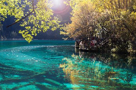 五花湖位于朱海古湖叶子森林游客风景吸引力绿色公园池塘遗产旅游图片