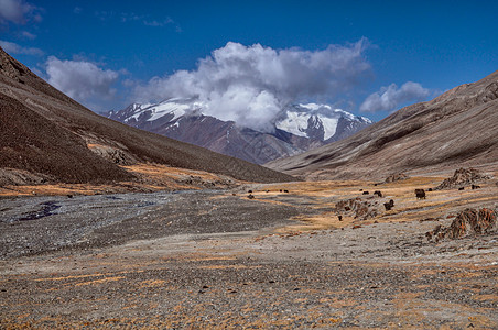 塔吉克斯坦河谷风景家畜溪流山脉沙漠全景牦牛图片