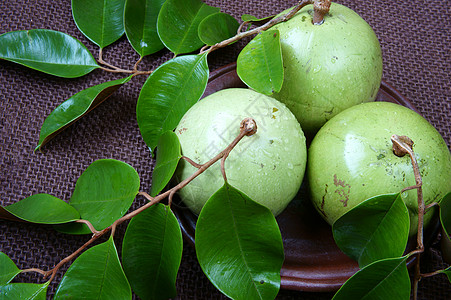 越南农产品 奶果 星苹果等食物营养农业棕色生产绿色水平树叶牛奶乐园图片