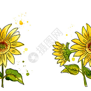 以水彩色漆成的黄向日葵构成艺术植物园艺插图草图橙子花园种子农业绘画图片