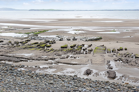 Beal海滩的泥滩海岸银行香农河口海洋支撑海岸线孤独石头场景图片
