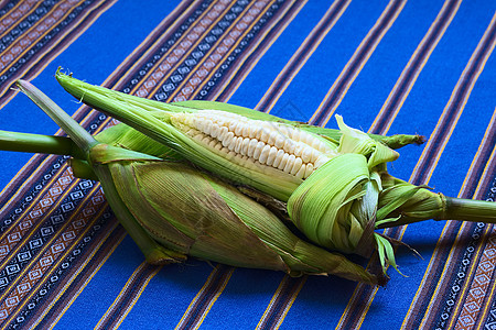 白玉米叫Choclo秘鲁或库斯科玉米核心拉丁主食织物水平粮食白色食物营养纺织品图片