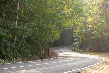 沿着弯曲的道路街道黄色白色驾驶爬坡曲线危险森林警告运输图片