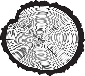 树木原木的黑白木切除矢量图片