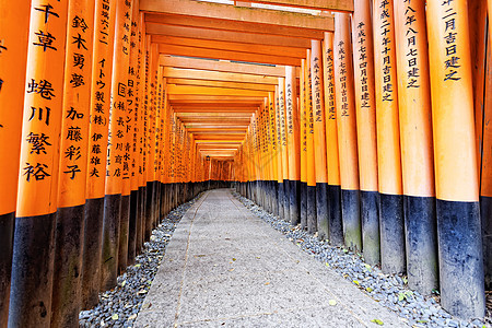 京都神社旅行入口寺庙灯笼隧道精神历史小路地标汉子图片