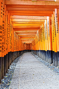 京都神社地标木头神道旅游历史观光遗产小路隧道游客图片