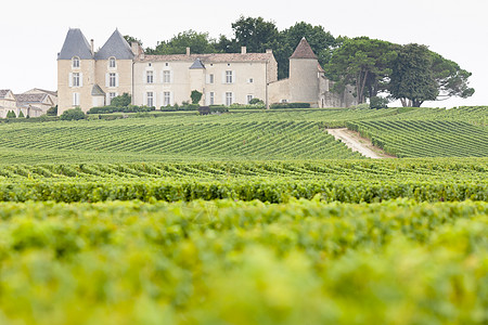 法国济儿区 Yquem和Shateau dYqum葡萄园地区酒业农业建筑外观国家植物景点建筑学葡萄图片
