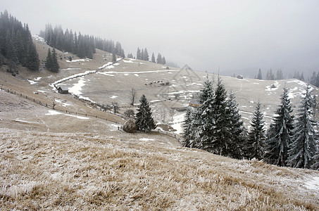 冬季寒冬平静的山地景观木头太阳阳光松树远足降雪寒意场景天空风景图片