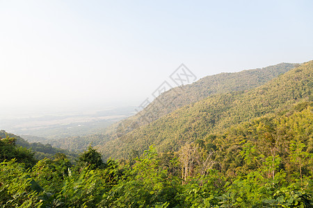 覆盖的山岳和树木季节阳光山脉天空场景植物环境丛林爬坡风景图片