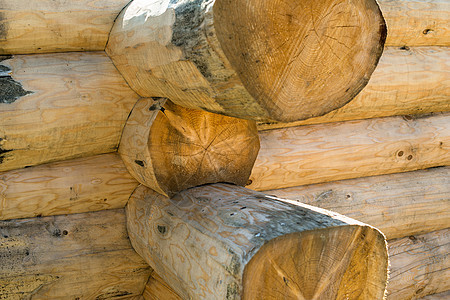 建造手工制作的文具合身原木房院子房子材料白话缺口木材手工业互锁针叶小屋图片