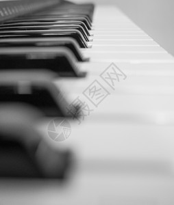 音乐键盘钢琴电子钥匙白色迷笛乐器器官大键黑色图片