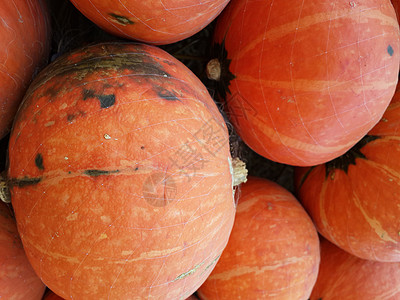 橙色南瓜南瓜蔬菜圆形农场橙子食物植物背景图片