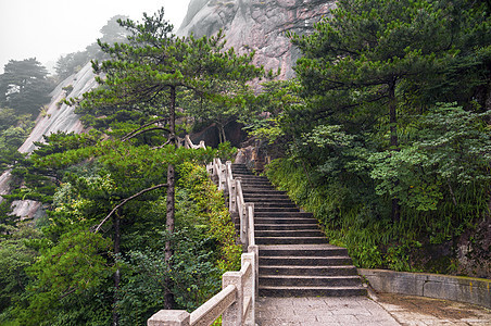 黄山山山楼梯通往森林图片