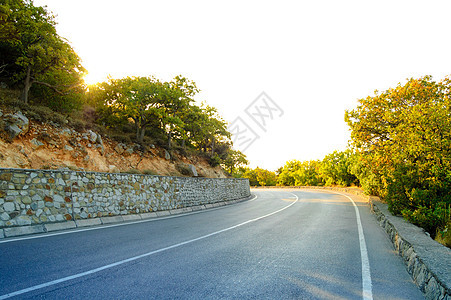 美丽的青绿夏月森林的空无道路场景赛道日出晴天天空速度农村沥青森林驾驶图片