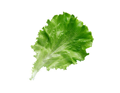 绿色生菜沙拉生活方式宏观食物叶子厨房营养蔬菜素食者植物服务背景图片