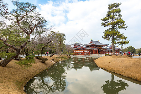 Byodo in 寺庙大厅游客树木宗教历史性历史佛教徒神道叶子池塘图片