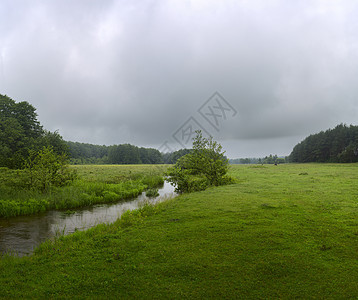 绿河牧场摄影天空薄雾风景灌木丛溪流海报艺术植物群图片