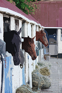 骑马的马动物马厩场农村院子农业农场图片