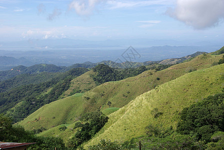 草地插画哥斯达黎加地貌景观热带场地乡村森林荒野风景木头顶峰国家草地背景