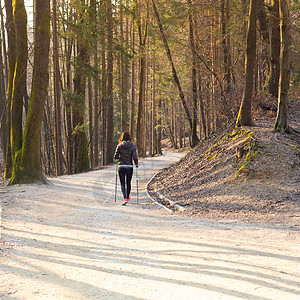 自然界的妇女徒步旅行女性锻炼公园小路娱乐闲暇成人远足训练树木图片