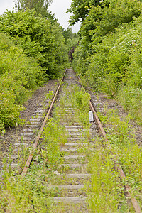 旧铁路轨道曲目架子退役森林树木路径交通杂草火车地面图片