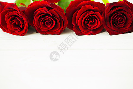 红玫瑰花朵红色背景图片