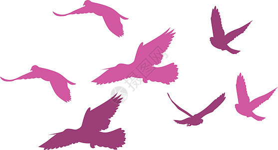鸟类团体自由季节噪音天空啄木鸟漂移滨鸟植绒乌鸦背景图片