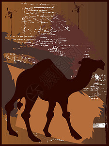 骆驼泥图片
