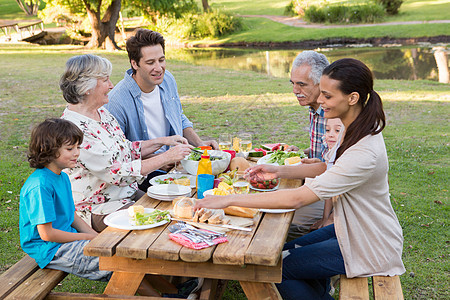 大家庭在户外吃午餐男性孙子微笑奶奶餐桌女士女孩家庭花园喜悦图片