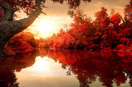 河上红秋天图片