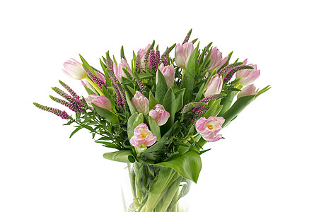 升起郁金香展示玫瑰玻璃粉色礼物白色浪漫绿色工作室花束背景图片